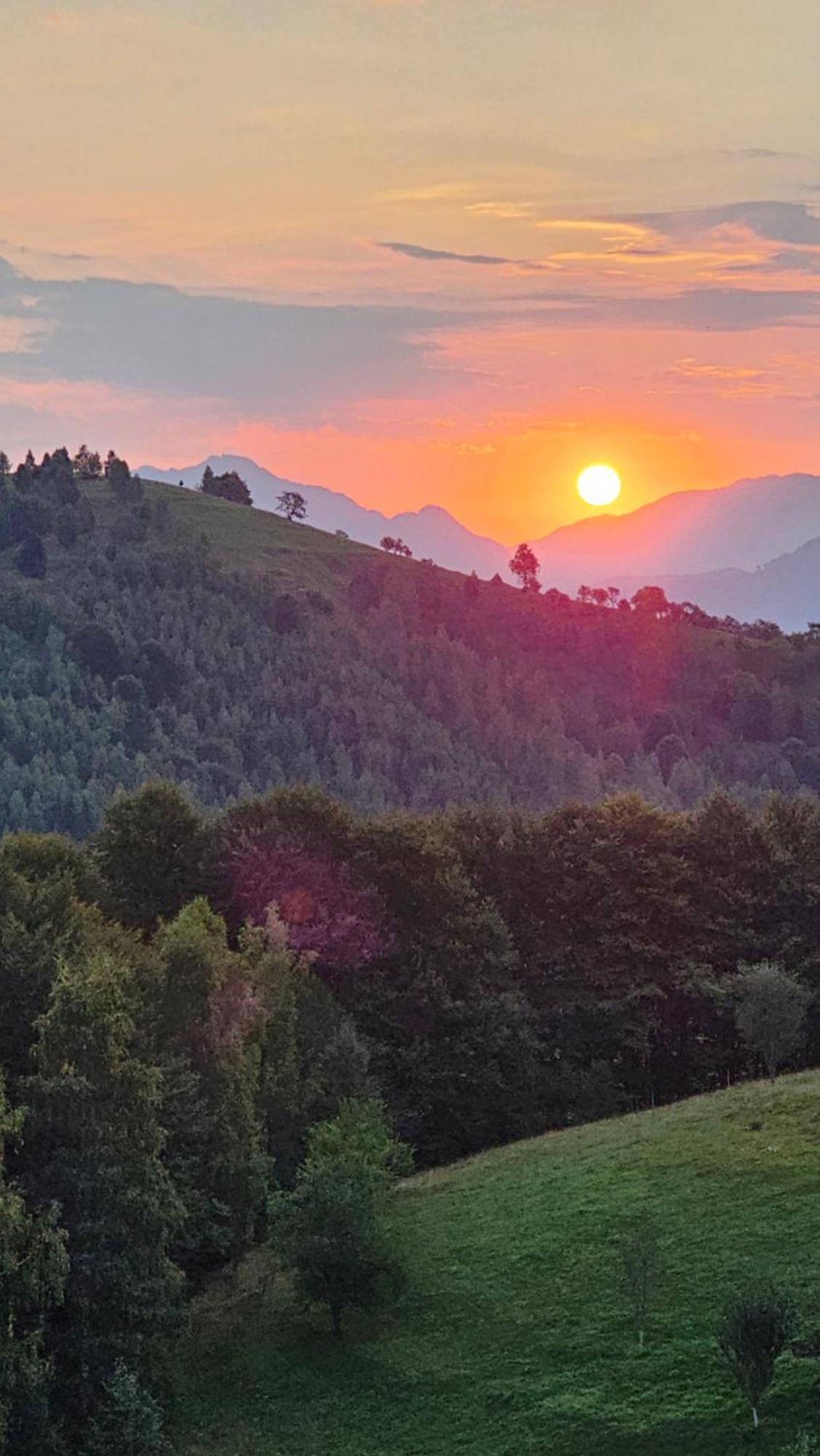 Pensiunea Tabacaru Peştera Dış mekan fotoğraf