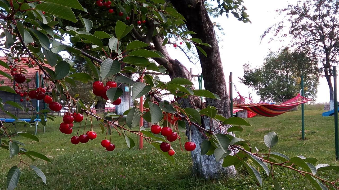 Pensiunea Tabacaru Peştera Dış mekan fotoğraf