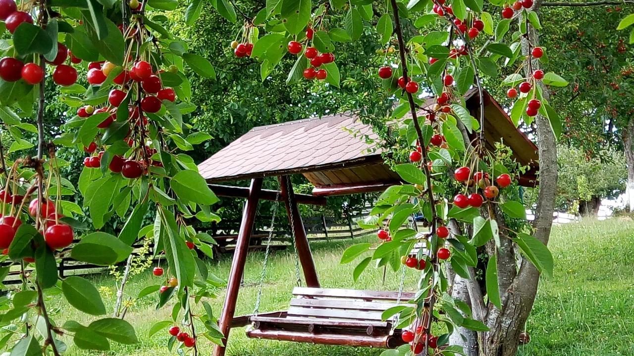 Pensiunea Tabacaru Peştera Dış mekan fotoğraf