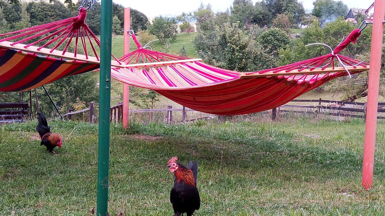 Pensiunea Tabacaru Peştera Dış mekan fotoğraf