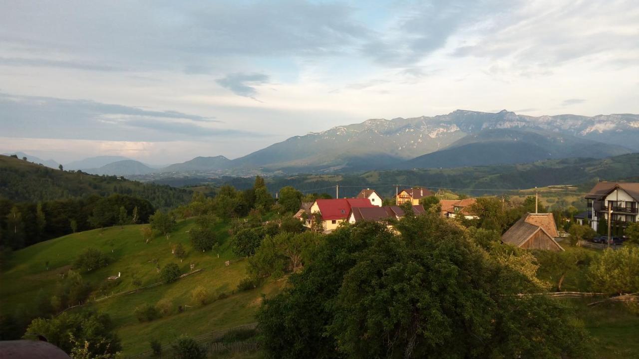 Pensiunea Tabacaru Peştera Dış mekan fotoğraf