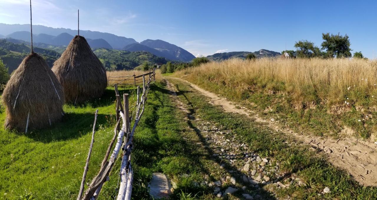 Pensiunea Tabacaru Peştera Dış mekan fotoğraf