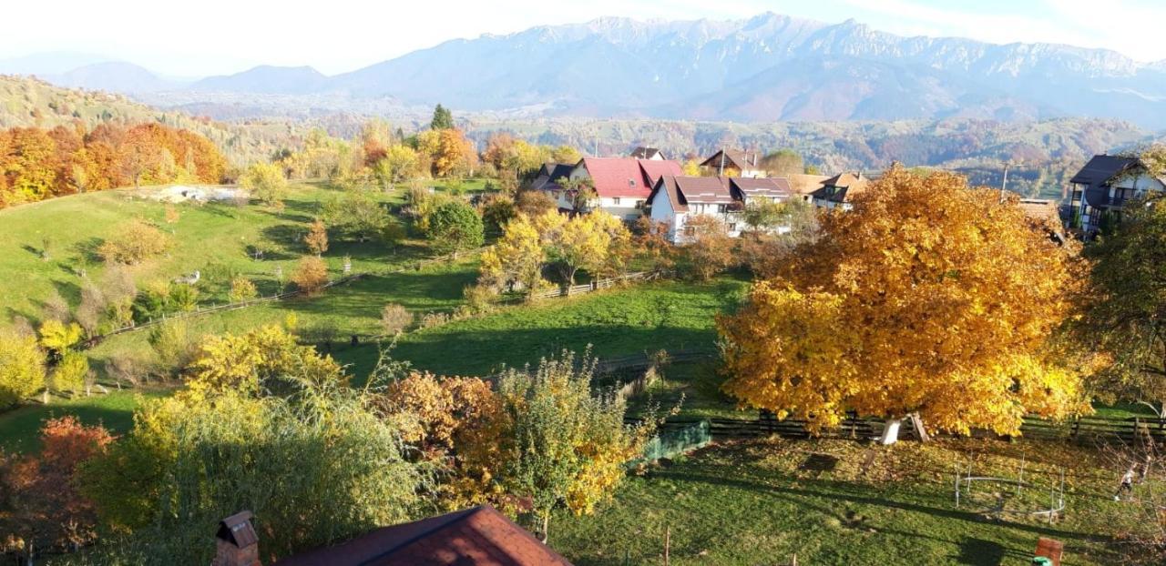 Pensiunea Tabacaru Peştera Dış mekan fotoğraf